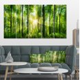 thumbnail image 3 of Designart 'Forest with Rays of Sun Panorama ' Landscape Art Print Canvas, 3 of 3
