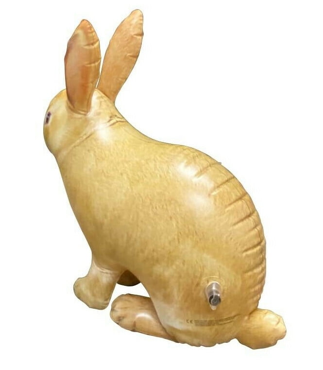 Jet Creations 2 pc Bunny Rabbit Inflatable Birthday Party Stuffed Animal Toys