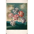 thumbnail image 4 of A Group Of Carnations Wall Poster with Push Pins, 14.725" x 22.375", 4 of 6