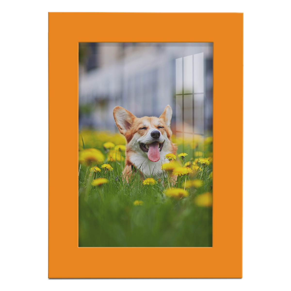 Modern Real Wood 5x7 inch Picture Frame in Orange