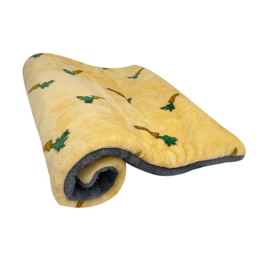 Kids Soft Warm Carpet Micro Plush Fleece Blanket Rug Blanket For Baby 50*65cm DS 
