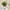 TYPE4, variant on Efavormart Set of 3 | 3'' Assorted Green Mini Artificial Faux Succulent Plants in Ceramic Pot with Decorative Rocks
