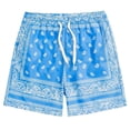 thumbnail image 3 of Gibobby Mens Swim Trunks with Compression Liner Quick Dry Board Shorts Beach Sports Short for Men Swimming Bathing Suits with Pockets Swimwear Surfing(XL,Light Blue), 3 of 3