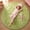 Green, variant on Sanmadrola Super Soft Fluffy Indoor Area Rugs 4x4 Feet, Fuzzy Rugs for Bedroom Living Room, Shaggy for Nursery Baby Room Kids Rugs, Furry Rug Shag Carpet for Boys Girls Dorm Room