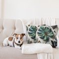 thumbnail image 4 of Ambesonne Monstera Throw Pillow Cover 2 Pack, Abstract Mid Century Art, 20", Fern Green Teal and Pale Grey, 4 of 7