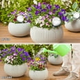 thumbnail image 3 of Maytalsory 5pieces Self-Watering Bird Globe Save Time Easy To Bird Shape Bird Shape S sky blue round 1Set, 3 of 6