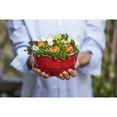 thumbnail image 2 of STAUB Bol Rond en Céramique 14 cm, Cerisier, 2 of 5