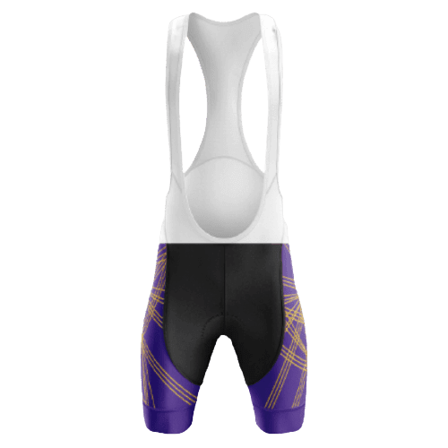 Purple/Gold Bib Shorts - M