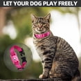 thumbnail image 2 of AirTag Cat Collar, Compatible with Apple AirTag, Polyester Pet Kitten Puppy Collar with Silicone AirTag Holder for Small Dogs, Pink Rose, XS: 8''-12'' Neck, 2 of 7