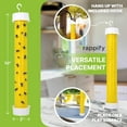thumbnail image 4 of Trappify Hanging Fly Traps Outdoor: Fruit for Indoors | Gnat Trap House Indoor - Disposable Sticky Pest Control (2 Pack), 4 of 5