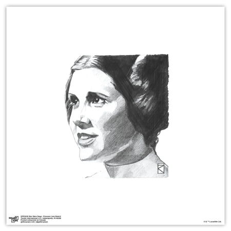 Gallery Pops Star Wars: Saga – Princess Leia Sketch Wall Art Unframed Version 12 x 12