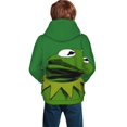 Boys Girls Kermit The Frog Pullover Hoodies 3D Print Novelty Colorful
