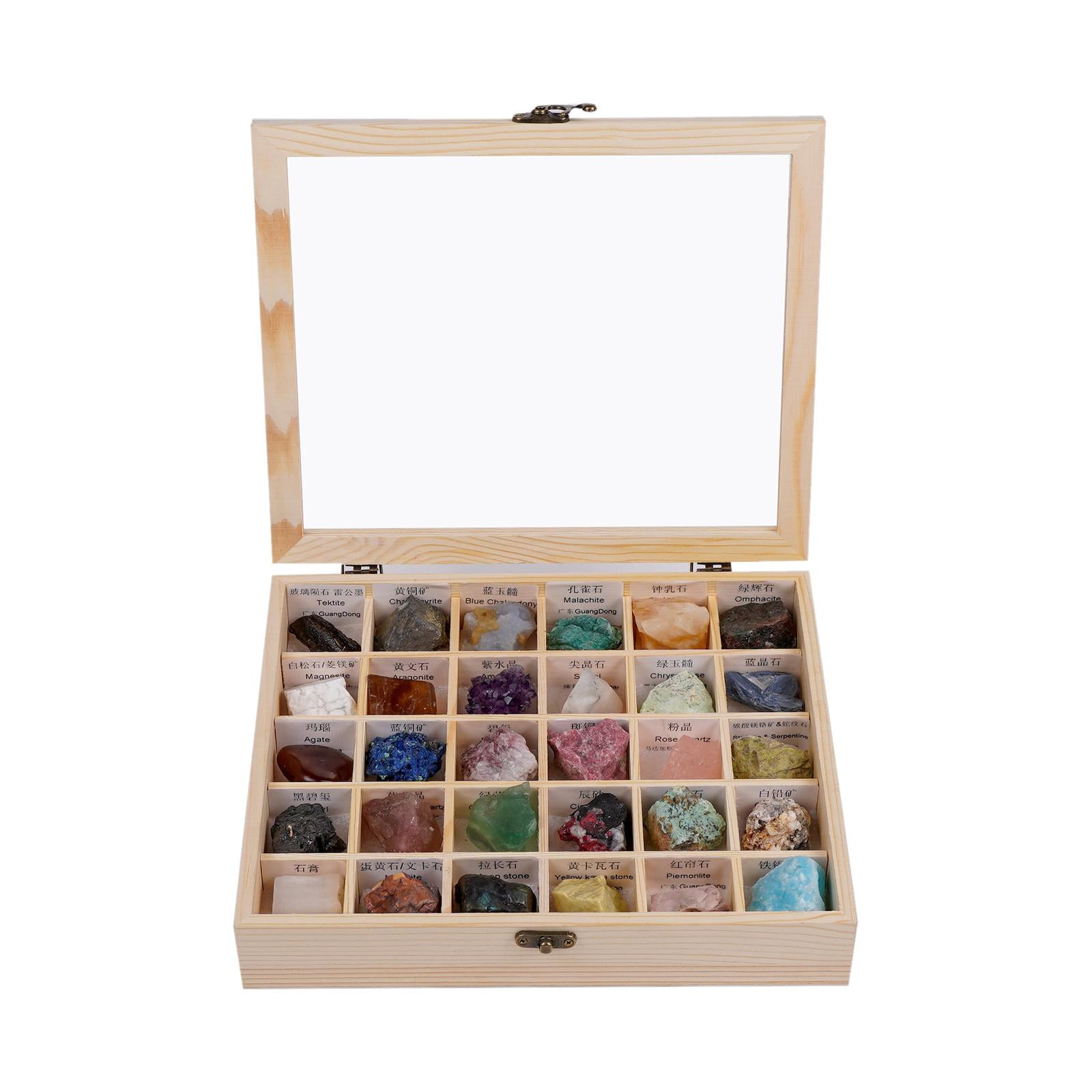 Rock and Mineral Educational Collection in Collection Box 20 Pieces with Description Sheet and Educational Information Geology Gem Kit for Kids in a Display Case 