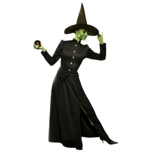 Morris Costumes AA86001LG Classic Witch Adult Large
