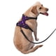 thumbnail image 2 of Fotbe Purple Mardi Gras Arnés para Perro con Estampado –Chaleco Ajustable Acolchado con Asa de Control para Perros Grandes-Large, 2 of 6