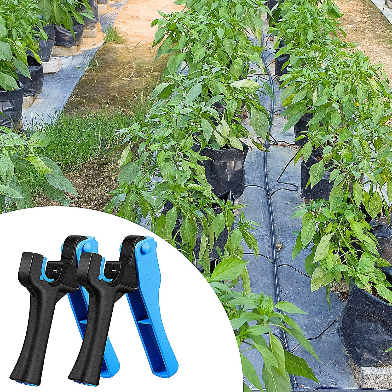 ABCISI 2 Pack Drip Irrigation Tubing Hole Punch Tool, Fitting Insertion Tool for 1/4 Inch Fitting and Emitter  Plastic, Garden Watering and Outdoor Irrigation Systems, Professional Pocket Punch