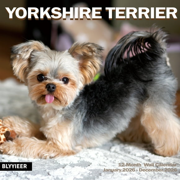 Calendario de Pared 2025-2026, Calendario de Pared Yorkshire Terrier, Abierto de 12" x 24", Organizador de Calendario Familiar con Imágenes de Yorkshire, para los Amantes de los Perros