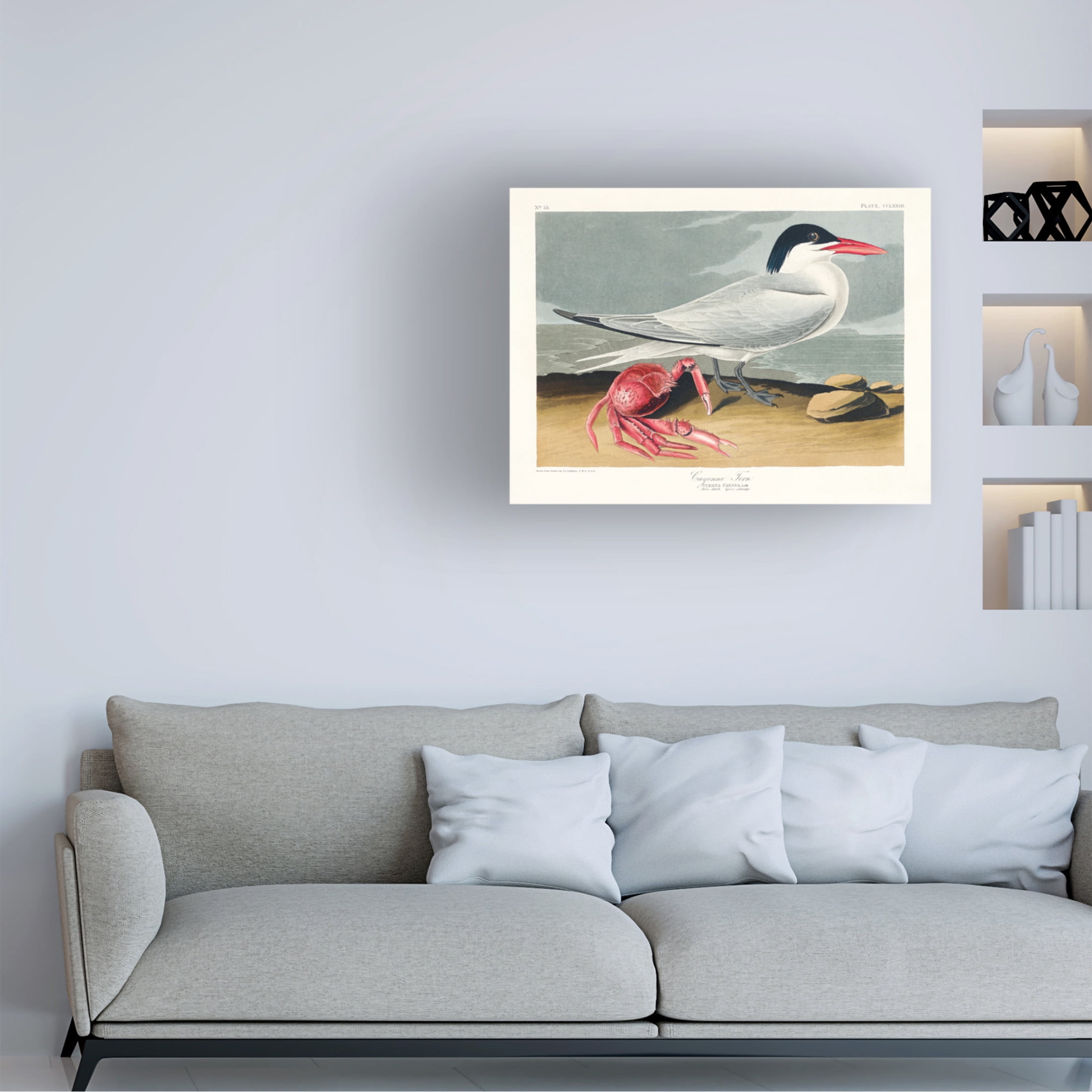 Trademark Fine Art Pictufy   Cayenne Tern From Birds of America 1827 Canvas Wall Art