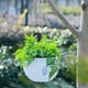 thumbnail image 4 of Maceta colgante para plantas de interior y exterior | Diseño con barrera de agua que previene la pudrición de las raíces | Maceta pequeña de plástico para suculentas, hiedra y rosas verdes, 4 of 6
