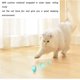 thumbnail image 3 of Juguete interactivo para gatos CHAO Pelota inteligente recargable por USB con luz Azul, 3 of 5