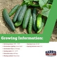 thumbnail image 2 of Harris Seeds Organic Marketmore 76 Cucumber, NON-GMO, Slicing Variety, 5 Count, 2 of 7