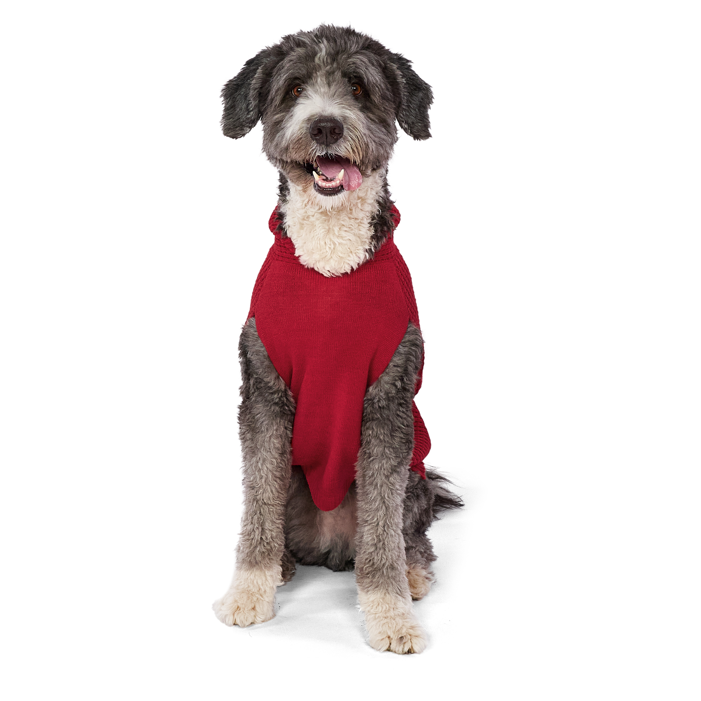 Vibrant Life Holiday Pet Sweater for Dogs, Spoiled Waffle Knit, Red, Large