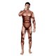 thumbnail image 2 of Mono Zentai divertido con estampado 3D de músculos para fiesta de Purim, monos para mujer, disfraces de Cosplay de Halloween para hombres, 2024, 2 of 5