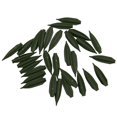 thumbnail image 3 of 30 Uds. Estaca de soporte para plantas de tallo único de jardín con 20 Uds. Anillos de soporte para jaula de plantas soporte de flores St, 3 of 5