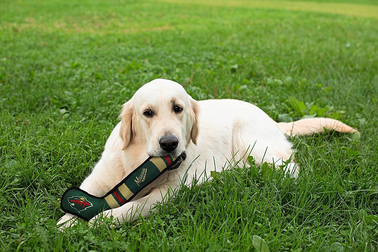 Pets First NHL Minnesota Wild Hockey Stick Toy for Dogs & Cats - Heavy-Duty, Durable Dog Toy with Squeaker