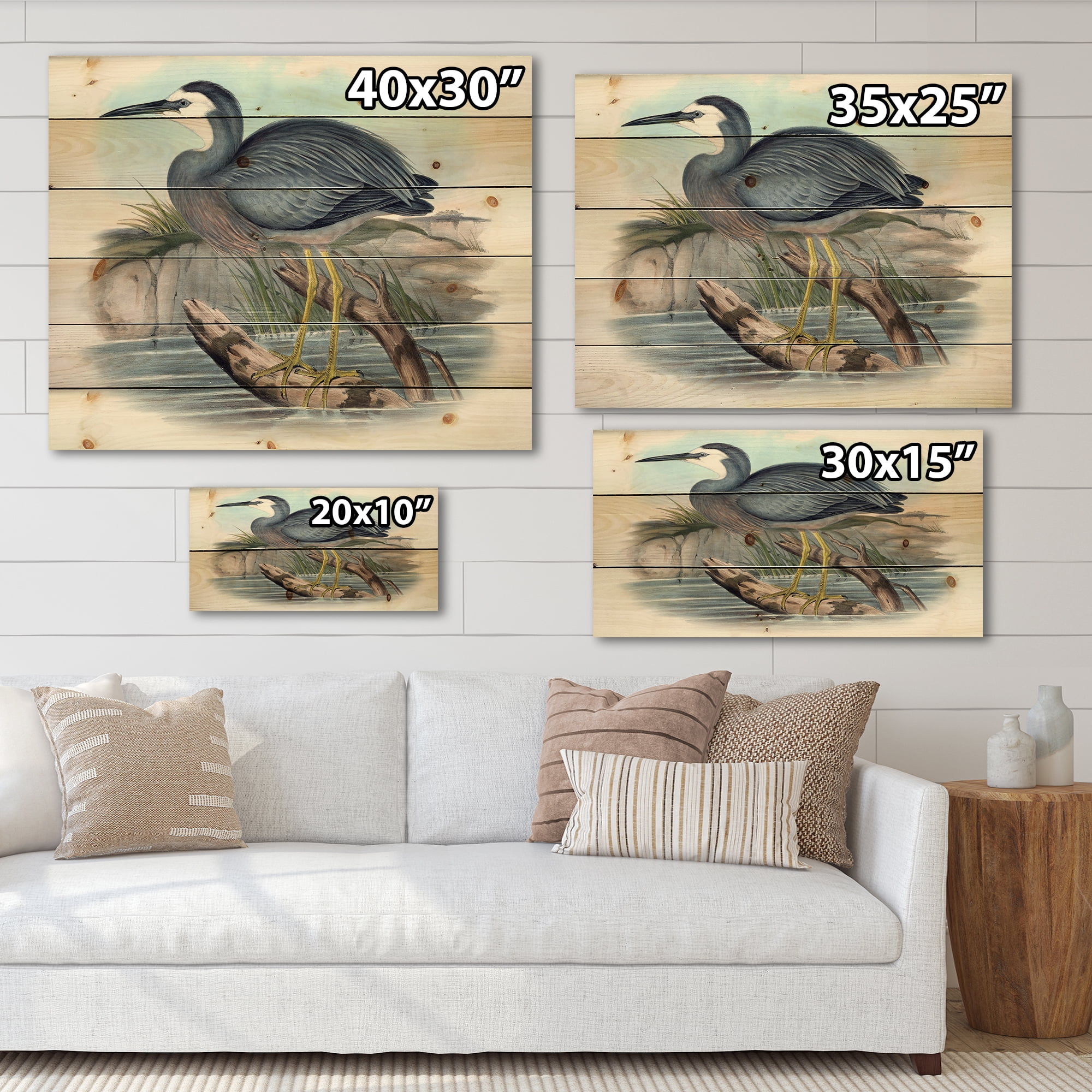 Designart 'Ancient Australian Birds II' Traditional Print on Natural Pine Wood