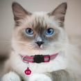 thumbnail image 3 of LAICAIW Lot de 2 Colliers pour Chat à Dégagement Rapide, Collier Réfléchissant pour Chaton avec Clochette et Dégagement de Sécurité (Rose Foncé), 3 of 5