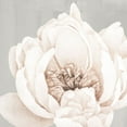 thumbnail image 2 of Allen, Kimberly 20x20 White Modern Wood Framed Museum Art Print Titled - Neutral Peony 1, 2 of 4