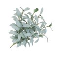 thumbnail image 4 of Plantas artificiales, ramas de hojas, simulación, vegetación, hogar, oficina, tela, planta falsa, gris blanco 10 Piezas Advancent HA8513-02B, 4 of 6