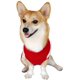 thumbnail image 2 of Suéter de perro mascota de dibujos animados invierno cálido gato mascota suéter Navidad Chihuahua ropa (m, ) Feliz Sencillez, 2 of 5