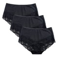 thumbnail image 2 of Fem Intimates Micro Nylon full brief with lace trim - 3 pk, 2 of 4