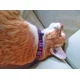 thumbnail image 5 of Collar Artesanal Para Perro O Gato, Marieta Linda, Cl-00009, 5 of 5