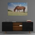 thumbnail image 3 of Epic Art 'Assataegue Horse' by Lori Deiter, Acrylic Glass Wall Art, 36"x24", 3 of 5