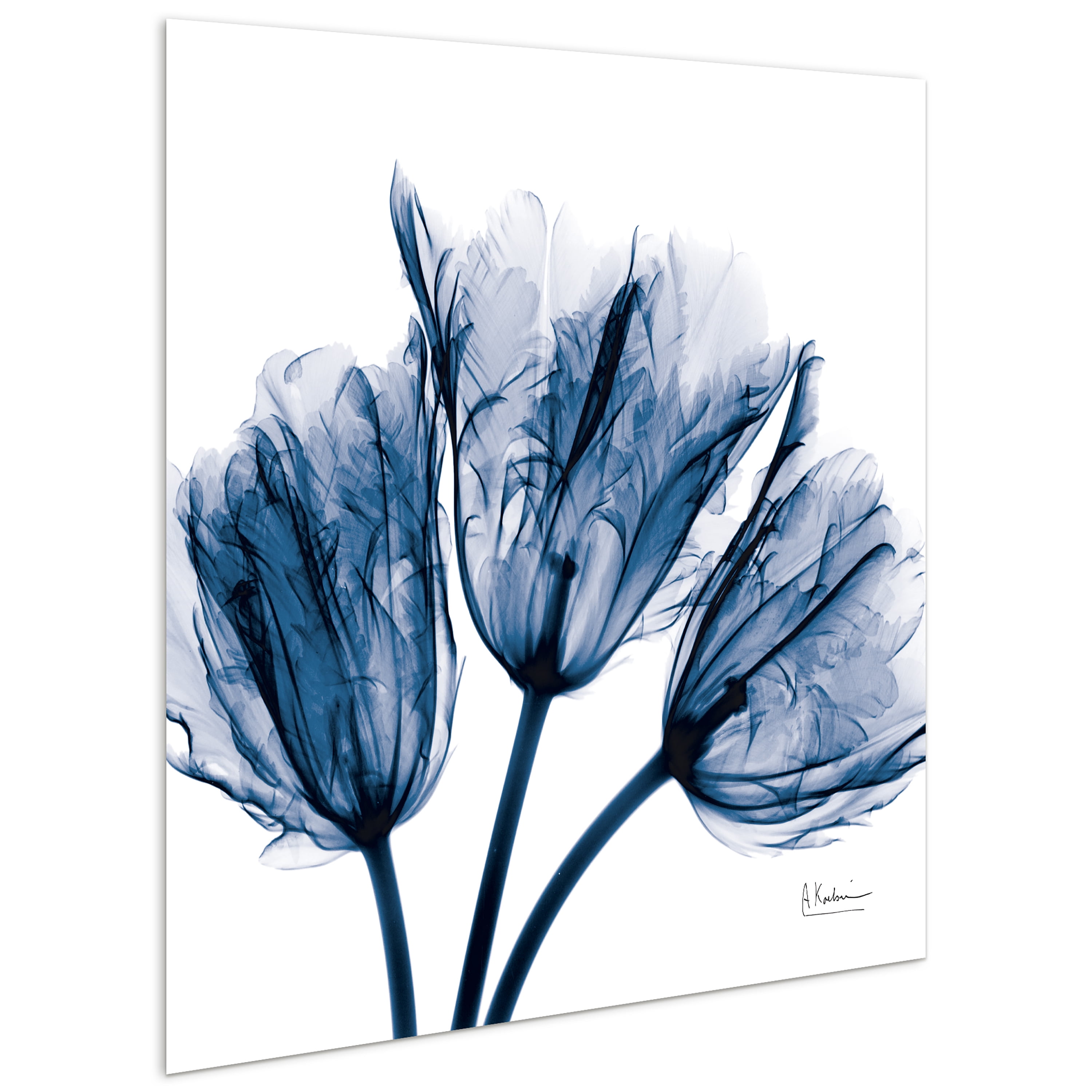 Empire Art Direct Blue Tulip X-Ray Frameless Free Floating Tempered Glass Panel Graphic Wall Art, 24" x 24" x 0.2", Ready to Hang