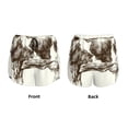 thumbnail image 3 of Daiia Cow 1 Pattern Women's 2 in 1 Running Shorts - Lightweight Athletic Workout Gym Yoga Shorts Liner with Phone Pockets-XX-Large, 3 of 7