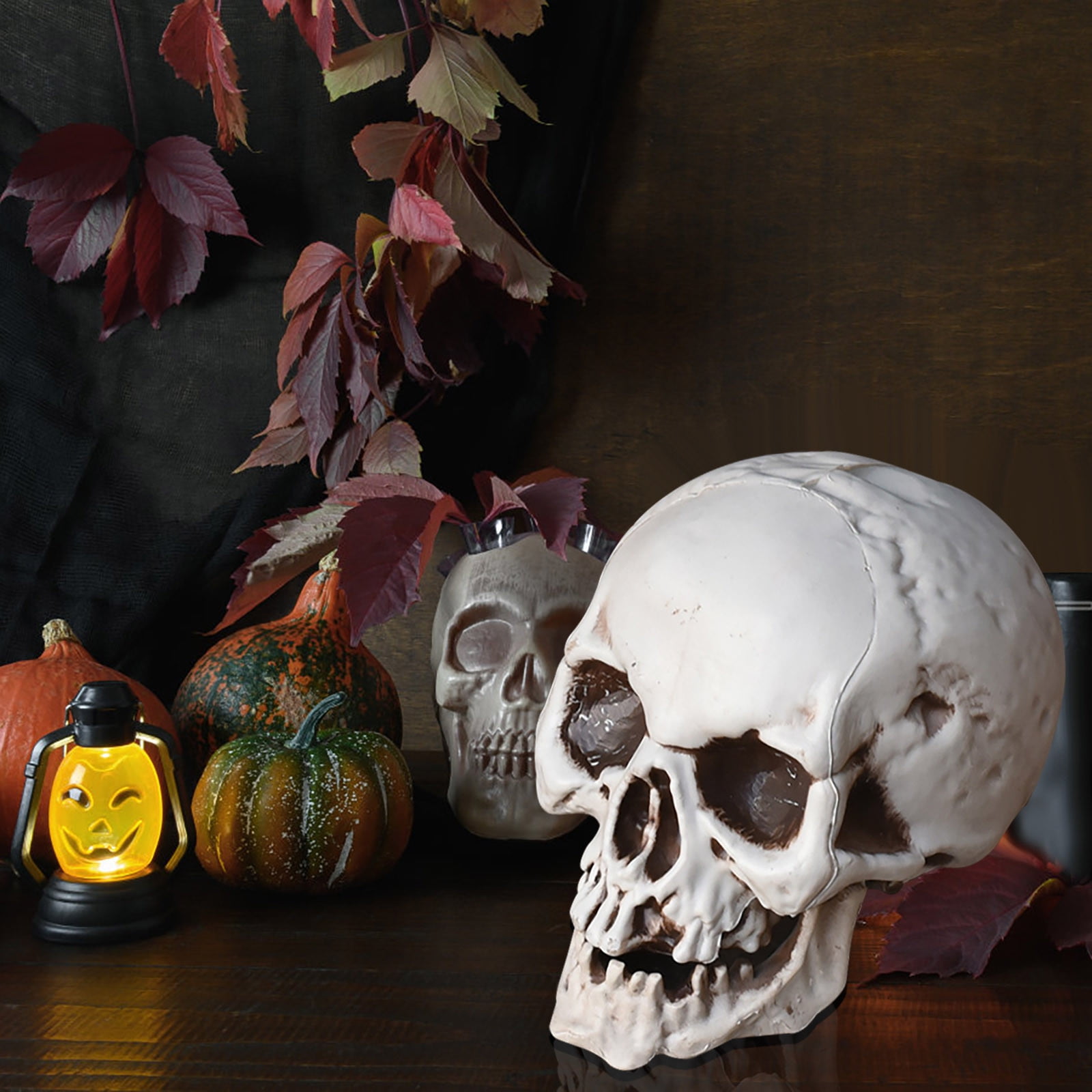 Halloween Plastic Skull Head Model Realistic Mini Human Skull Simulation Prop Skeleton Head Decoration for Tabletop Party Scene Display Shelf and Home Decor