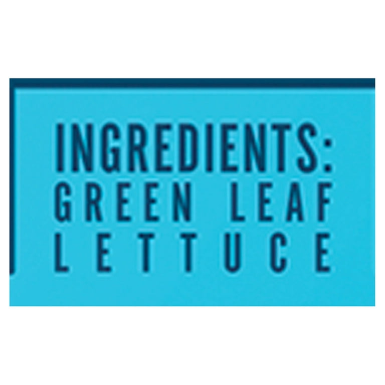 Little Leaf Farms Baby Crispy Green Leaf Lettuce Salad, 8 oz Clam Shell, Fresh