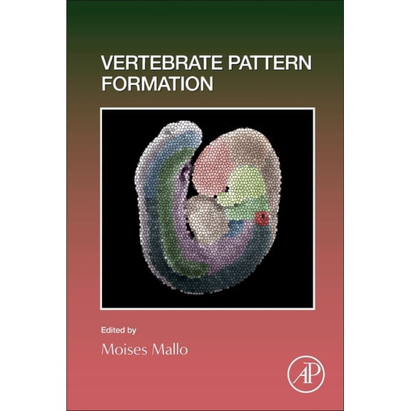 Current Topics in Developmental Biology Vertebrate Pattern Formation: Volume 159, Book 159, (Hardcover)