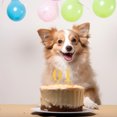 thumbnail image 3 of Xingzhi Happy digital birthday cake topper, 3 of 9