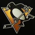 thumbnail image 4 of Men's '47 Mario Lemieux Black Pittsburgh Penguins Retired Player Name & Number Lacer Pullover Hoodie, 4 of 4