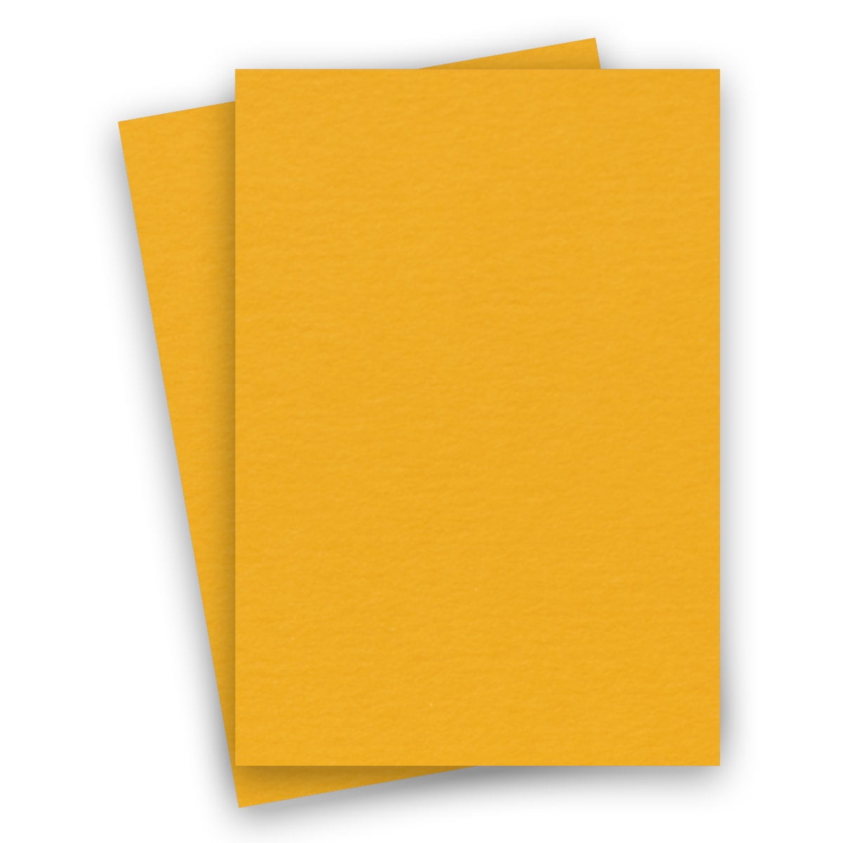 Basics GOLD 8.5X14 (Legal) Paper 80C Cardstock 100 PK Quality 81/