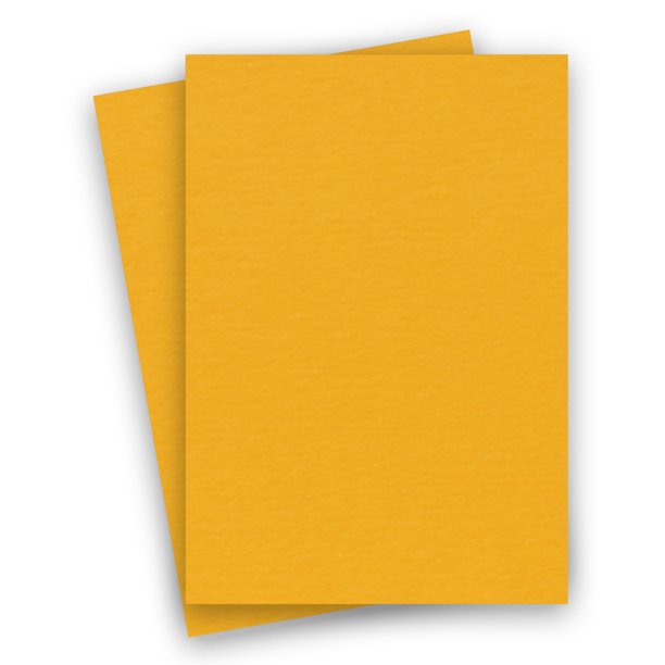 Basics GOLD 8.5X14 (Legal) Paper 80C Cardstock 100 PK Quality 81/