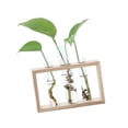 thumbnail image 4 of Yuedong Glass Flower Vase Tube Bottle Hydroponic Container Bedroom Living Room Home Decor with Holder;Glass Flower Vase Tube Bottle Hydroponic Container Home Decor with Holder, 4 of 20