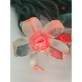 thumbnail image 2 of Red Flower LED Set of 25 Lights Light String, 2 of 3