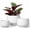 White, variant on Ceramic Plant Pots, 4.1+5.1+6.5 inch, Set of 3, Planters with Drainage Hole and Saucer, Indoor Flower Pot with Hole Mesh Pad, Gifts for Mom, White
