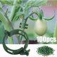 thumbnail image 1 of Paquete de 100 clips de soporte para plantas, tomates, ataduras, cordel, enrejados, jaulas, plantas trepadoras, verduras, 2,5 cm, 1 of 5